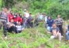 Timsus Narkoba Polda Sumut dan Polres Madina Musnahkan 1,5 Ha Ladang Ganja di Bukit Tor Sihite