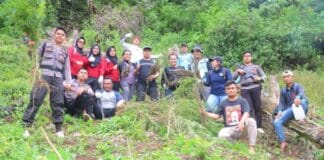 Timsus Narkoba Polda Sumut dan Polres Madina Musnahkan 1,5 Ha Ladang Ganja di Bukit Tor Sihite