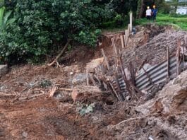 Akibat Tanggul Pabrik Kelapa Sawit Jebol, Puluhan Ribu Ikan Mati Tercemar Limbah