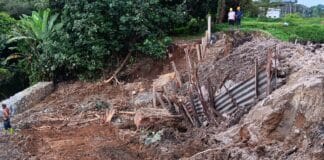 Akibat Tanggul Pabrik Kelapa Sawit Jebol, Puluhan Ribu Ikan Mati Tercemar Limbah