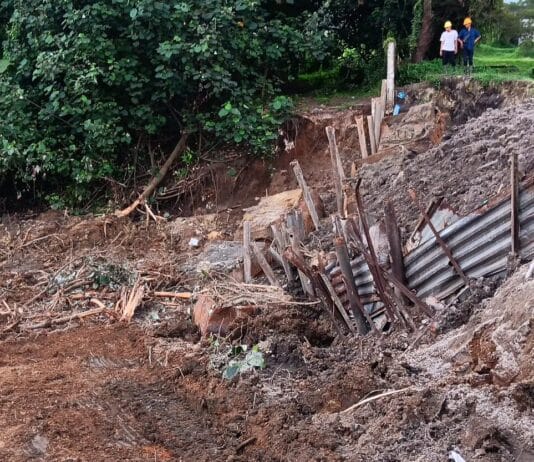 Akibat Tanggul Pabrik Kelapa Sawit Jebol, Puluhan Ribu Ikan Mati Tercemar Limbah