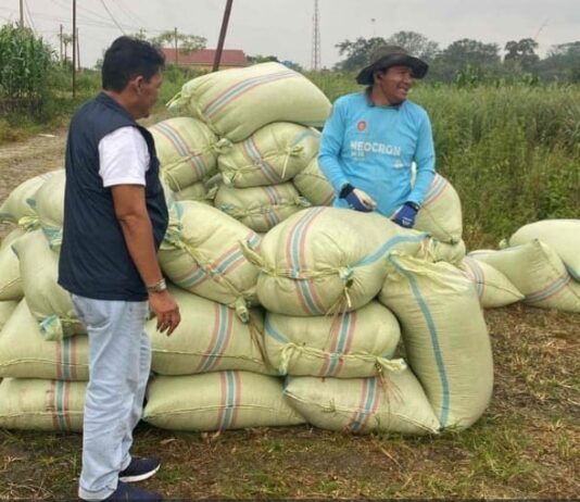 Optimalisasi Penyerapan Gabah Kering Panen Bulog Siantar