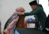 Wisuda MAN Insan Cendekia, Wabup Tapsel: Jangan Berpuas Diri Karena Perjalanan Belum Seberapa Wisuda MAN Insan Cendekia, Wabup Tapsel: Jangan Berpuas Diri Karena Perjalanan Belum Seberapa