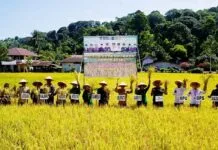 Abdya Panen Raya Padi, Danrem 012/TU Ajak Generasi Muda Galakkan Sektor Pertanian