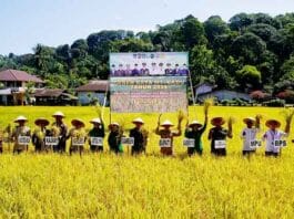 Abdya Panen Raya Padi, Danrem 012/TU Ajak Generasi Muda Galakkan Sektor Pertanian