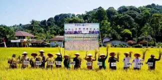 Abdya Panen Raya Padi, Danrem 012/TU Ajak Generasi Muda Galakkan Sektor Pertanian