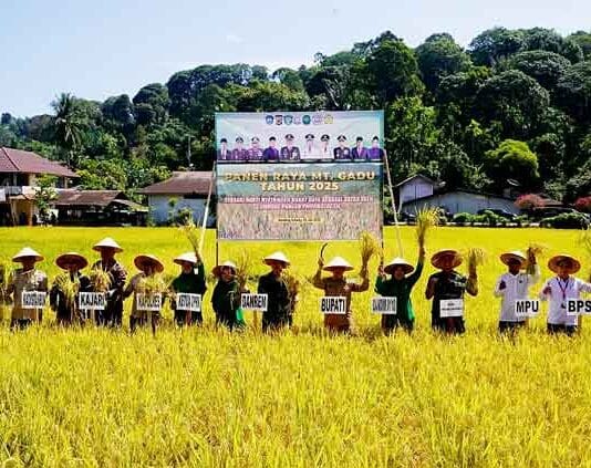 Abdya Panen Raya Padi, Danrem 012/TU Ajak Generasi Muda Galakkan Sektor Pertanian