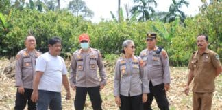 Dukung Ketahanan Pangan, Kapolres Siantar Cek Lahan Jagung di Kelurahan Tong Marimbun