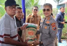 Kapolres Pematangsiantar Bersama Forkopimda Panen Padi di Dusun Matio