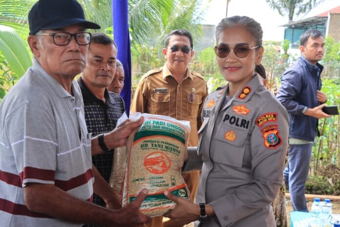 Kapolres Pematangsiantar Bersama Forkopimda Panen Padi di Dusun Matio