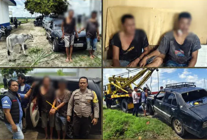 Dua Pencuri Lembu di Simalungun Dibekuk Usai Kabur Pakai Sedan dan Tabrak Pemotor
