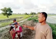 Petani Desa Tanjung Mulia Resah, Sedimen Halangi Jalan Pertanian dan Saluran Irigasi