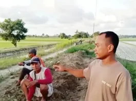 Petani Desa Tanjung Mulia Resah, Sedimen Halangi Jalan Pertanian dan Saluran Irigasi