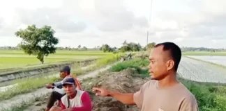 Petani Desa Tanjung Mulia Resah, Sedimen Halangi Jalan Pertanian dan Saluran Irigasi