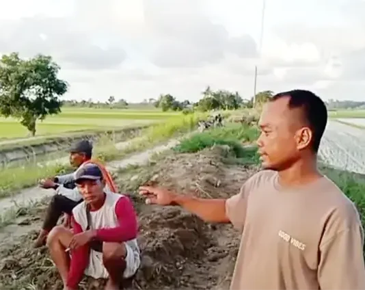 Petani Desa Tanjung Mulia Resah, Sedimen Halangi Jalan Pertanian dan Saluran Irigasi