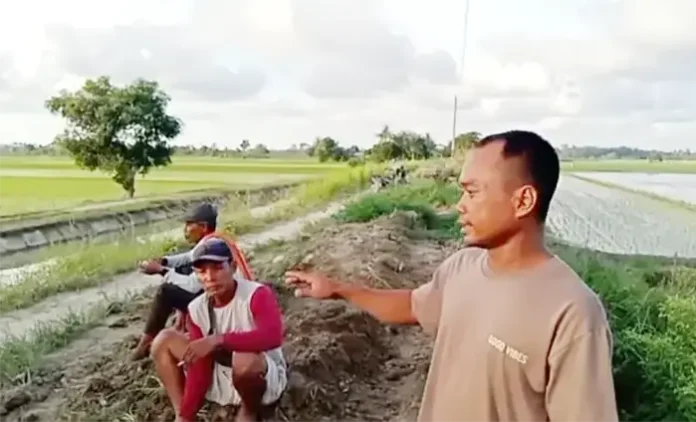 Petani Desa Tanjung Mulia Resah, Sedimen Halangi Jalan Pertanian dan Saluran Irigasi Petani Desa Tanjung Mulia Resah, Sedimen Halangi Jalan Pertanian dan Saluran Irigasi