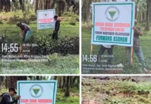 Plang Milik Forwaka Asahan Dirusak OTK, Pengurus Lapor Polisi Plang Milik Forwaka Asahan Dirusak OTK, Pengurus Lapor Polisi