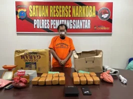 Polres Pematangsiantar Ungkap Peredaran Ganja 7 Kg, 1 Tersangka Ditangkap