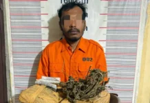 Polsek Bahorok Gagalkan Peredaran 2 Kg Ganja di Bukit Lawang