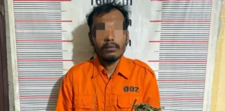 Polsek Bahorok Gagalkan Peredaran 2 Kg Ganja di Bukit Lawang