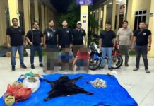 Polres Simalungun Bongkar Perdagangan Satwa yang Dilindungi Polres Simalungun Bongkar Perdagangan Satwa yang Dilindungi