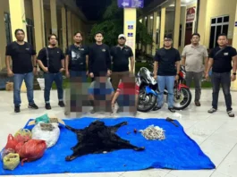 Polres Simalungun Bongkar Perdagangan Satwa yang Dilindungi