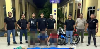Polres Simalungun Bongkar Perdagangan Satwa yang Dilindungi Polres Simalungun Bongkar Perdagangan Satwa yang Dilindungi