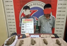 Satres Narkoba Polres Padang Lawas Tangkap Dua Terduga Pengedar Ganja