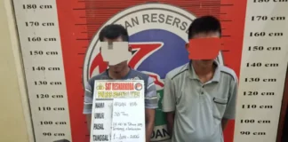 Satres Narkoba Polres Padang Lawas Tangkap Dua Terduga Pengedar Ganja