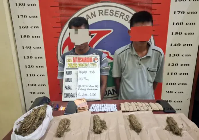 Satres Narkoba Polres Padang Lawas Tangkap Dua Terduga Pengedar Ganja Satres Narkoba Polres Padang Lawas Tangkap Dua Terduga Pengedar Ganja