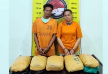 Satresnarkoba Polres Tapsel Gagalkan Peredaran Ganja 5 Kilogram