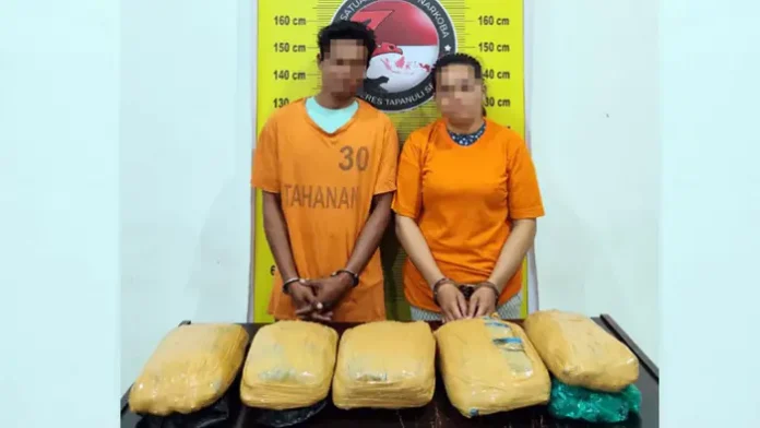 Satresnarkoba Polres Tapsel Gagalkan Peredaran Ganja 5 Kilogram